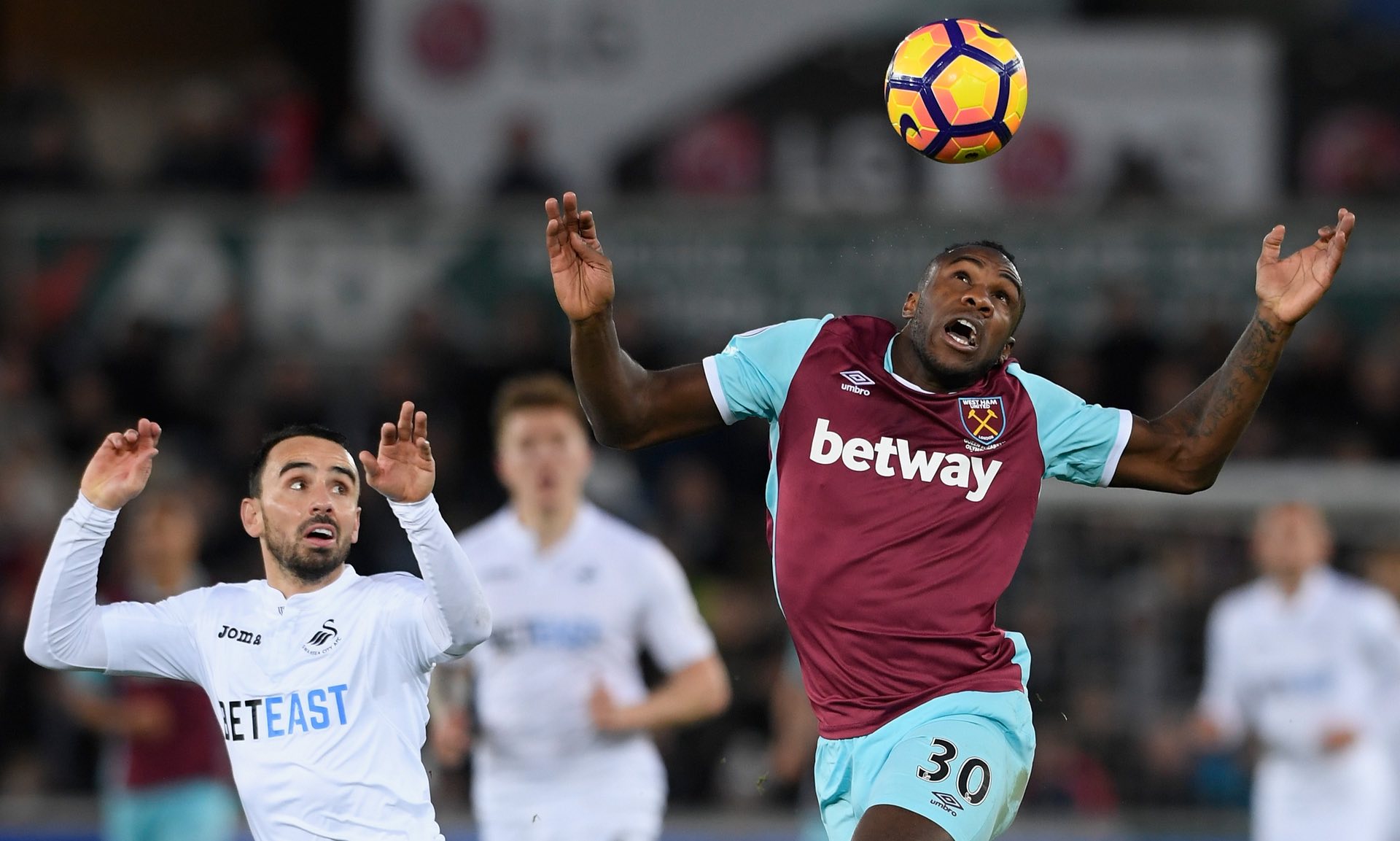 他们的朋友 他们的朋友