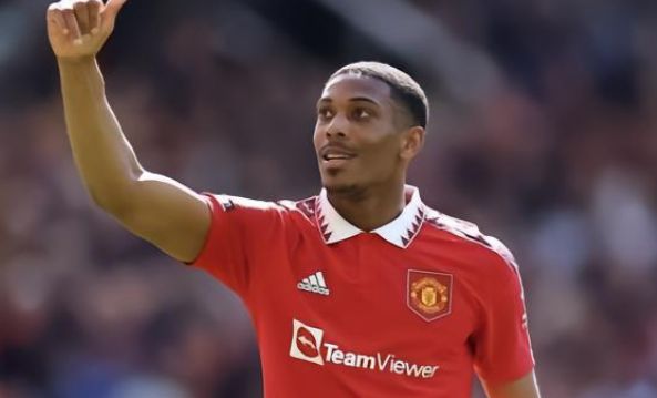 特的体验 特的体验